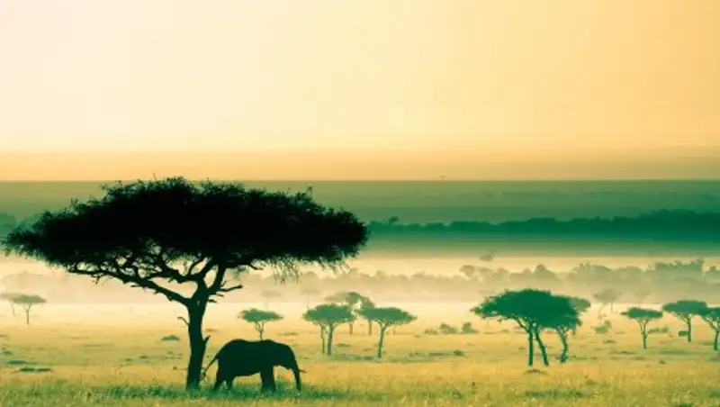 Неизвестная Африка: 17 мифов, в которые мы раньше верили