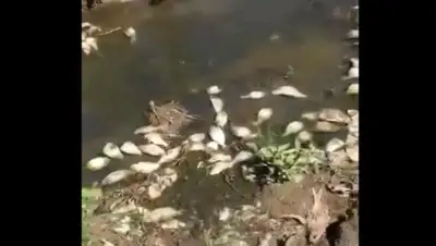 mgorod.kz, фото - Новости Zakon.kz от 03.06.2020 10:12