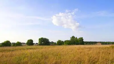 Zakon.kz, фото - Новости Zakon.kz от 06.02.2014 17:29