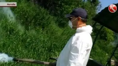 Zakon.kz, фото - Новости Zakon.kz от 28.05.2016 04:22