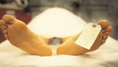 Zakon.kz, фото - Новости Zakon.kz от 02.11.2017 12:03