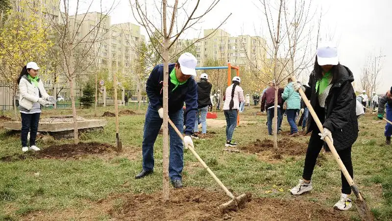 "Зеленый двор": больше 3000 саженцев для посадки раздадут алматинцам
