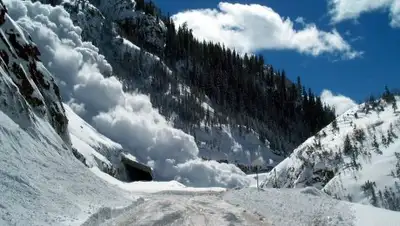 Zakon.kz, фото - Новости Zakon.kz от 06.04.2017 14:55