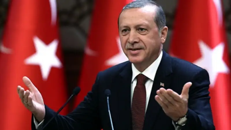 Эрдоган назвал невеждами ученых, призвавших решить курдский вопрос