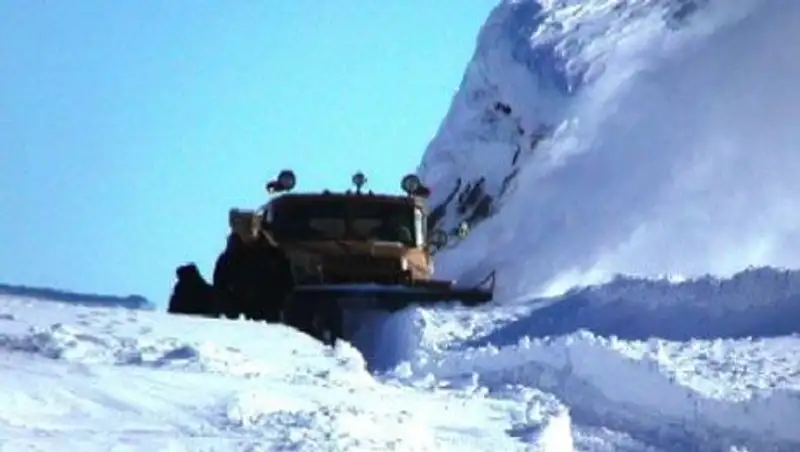 Аномальная погода доставила массу хлопот жителям Кызылординской области