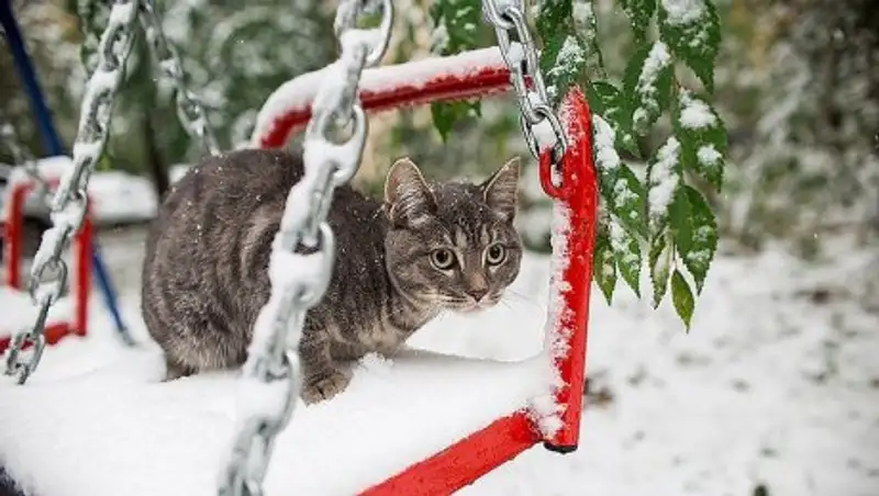 В субботу в Казахстане ожидаются метели и туман