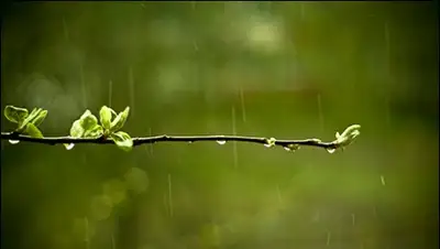 Zakon.kz, фото - Новости Zakon.kz от 17.04.2015 14:41