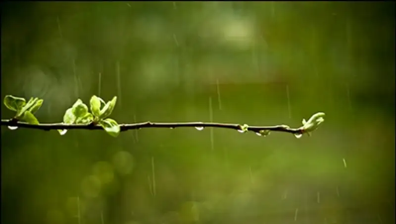 В пятницу на большей части РК прогнозируют неустойчивый характер погоды