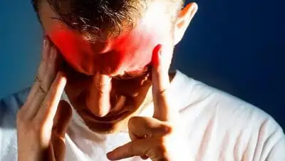 kubnews.ru, фото - Новости Zakon.kz от 28.09.2020 08:58