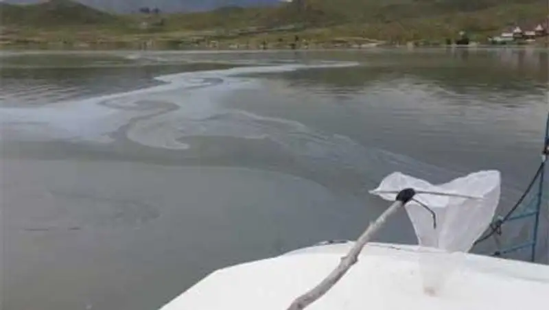 Сельский акимат обвиняют в появлении белого пятна в акватории Бухтарминского водохранилища, фото - Новости Zakon.kz от 25.10.2013 17:21