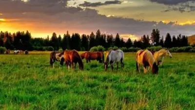 Zakon.kz, фото - Новости Zakon.kz от 09.08.2014 21:08