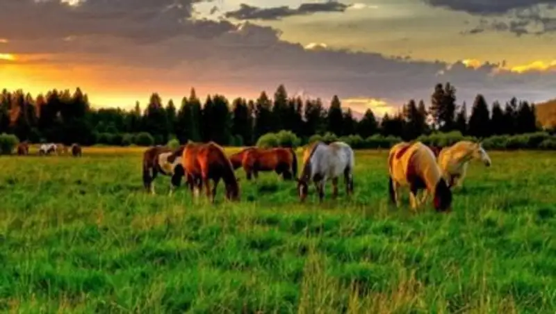 В Костанайской области с землепользователями расторгают договоры аренды