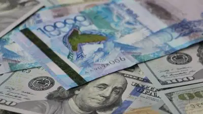 abctv.kz, фото - Новости Zakon.kz от 12.07.2018 09:53