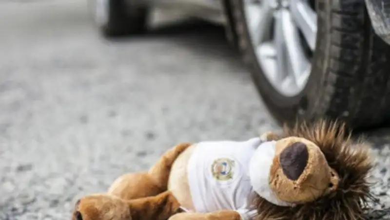 Женщину и ребенка сбили на пешеходном переходе в Костанае