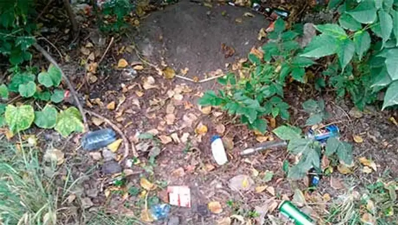 С начала года в Петропавловске за нарушение чистоты и порядка наказаны более 2 тыс человек