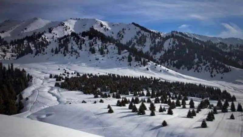 Аким Алматы о "Кок-Жайлау": Частных коттеджей не будет