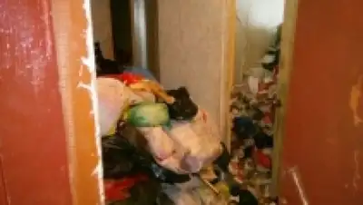 Zakon.kz, фото - Новости Zakon.kz от 03.08.2017 14:11