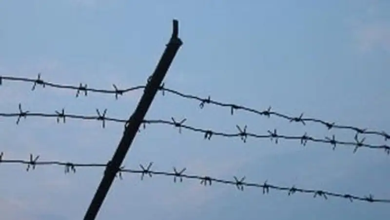 В Казахстане осужденные стали чаще освобождаться условно-досрочно