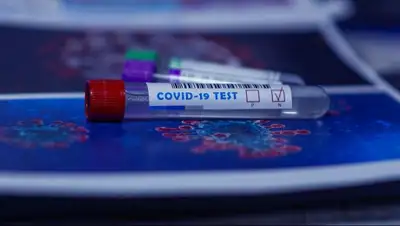 Pixabay, фото - Новости Zakon.kz от 21.06.2020 08:20