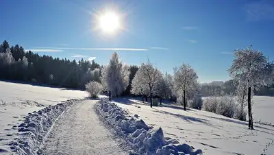 зима, солнце , фото - Новости Zakon.kz от 12.01.2022 11:06