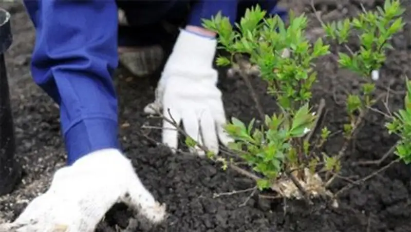 В Астане прошел общегородской субботник 