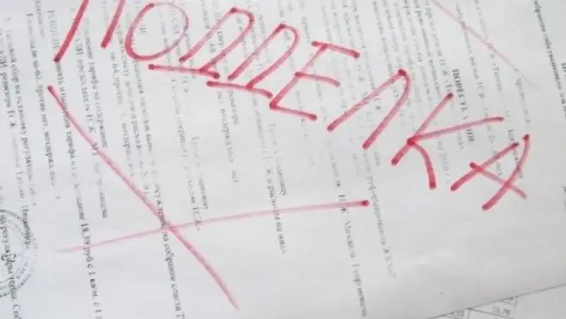 Гражданка Турции с поддельными документами на детей пыталась пересечь границу