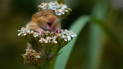 Zakon.kz, фото - Новости Zakon.kz от 08.08.2014 20:35