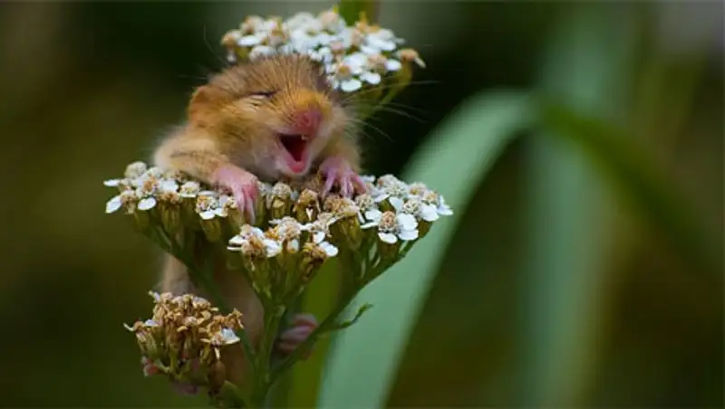 На юге Казахстана на этих выходных ожидается жара - до +42 градусов