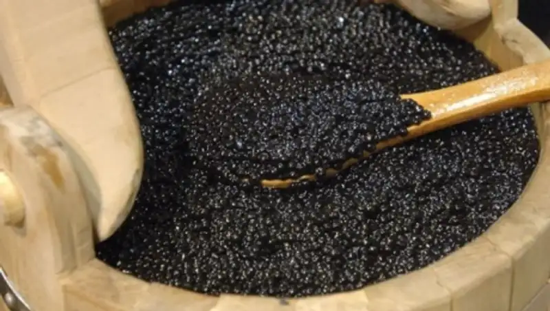 ГПИИР: В Восточном Казахстане откроют комплекс по производству черной икры и осетрины