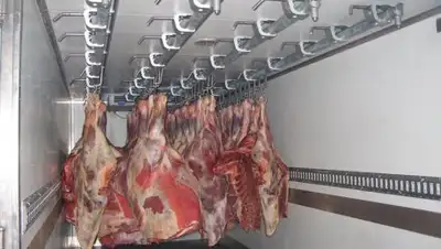 ГрузоведЪ, фото - Новости Zakon.kz от 24.10.2018 06:42