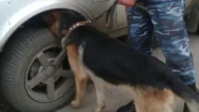 Zakon.kz, фото - Новости Zakon.kz от 28.01.2016 13:35