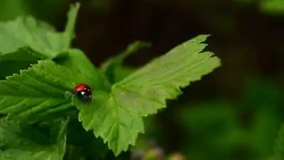 kapital.kz, фото - Новости Zakon.kz от 28.10.2020 19:04