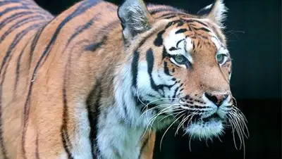 Zakon.kz, фото - Новости Zakon.kz от 12.09.2014 20:39