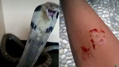 Zakon.kz, фото - Новости Zakon.kz от 20.12.2017 16:57