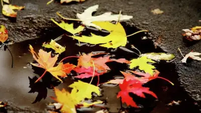 Zakon.kz, фото - Новости Zakon.kz от 13.11.2014 14:58