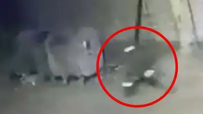 человек, фото - Новости Zakon.kz от 06.12.2022 11:38