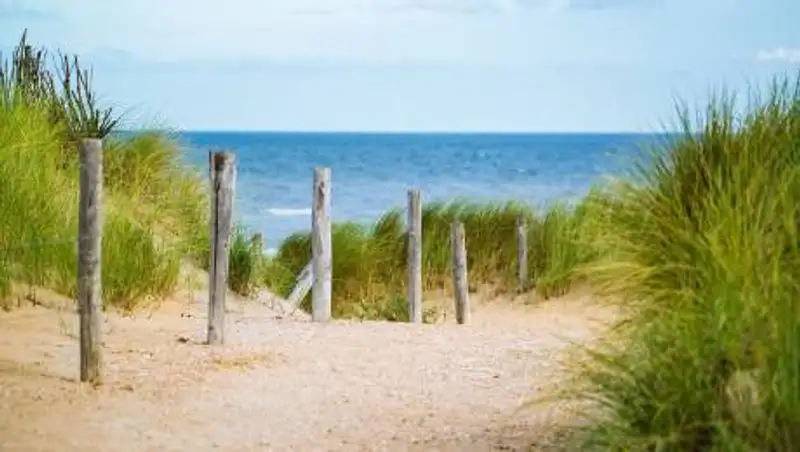 В водоеме около Алматы массово гибнет рыба