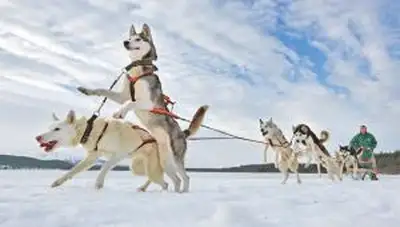 Zakon.kz, фото - Новости Zakon.kz от 08.12.2013 22:05