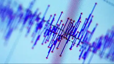 МИА «Казинформ», фото - Новости Zakon.kz от 02.12.2017 17:07