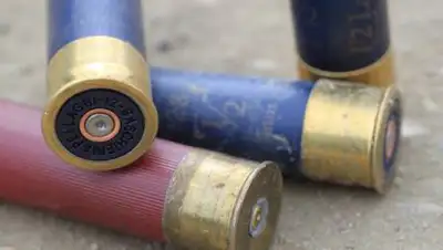 Pixabay, фото - Новости Zakon.kz от 26.04.2021 18:01