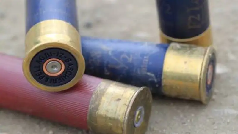 В селе под Алматы неизвестный отстрелил мужчине ногу