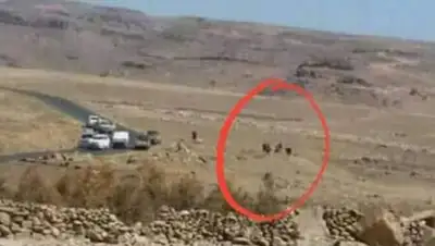 Zakon.kz, фото - Новости Zakon.kz от 05.12.2017 09:01