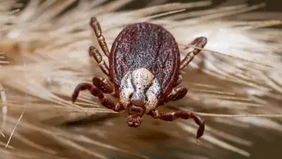 Zakon.kz, фото - Новости Zakon.kz от 23.06.2017 23:27