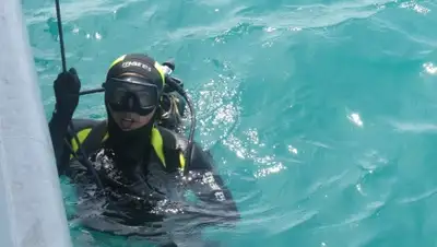 Zakon.kz, фото - Новости Zakon.kz от 17.05.2016 20:37