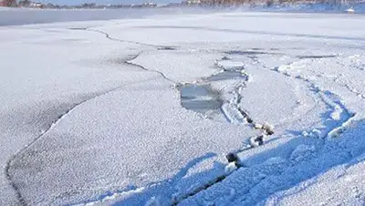 Zakon.kz, фото - Новости Zakon.kz от 16.02.2014 18:51