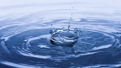 Zakon.kz, фото - Новости Zakon.kz от 03.05.2016 20:37