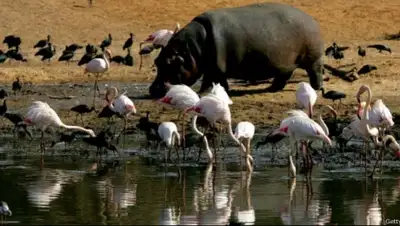 Zakon.kz, фото - Новости Zakon.kz от 27.11.2014 23:51