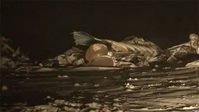 Zakon.kz, фото - Новости Zakon.kz от 18.03.2014 01:27