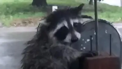 Zakon.kz, фото - Новости Zakon.kz от 15.06.2015 21:29