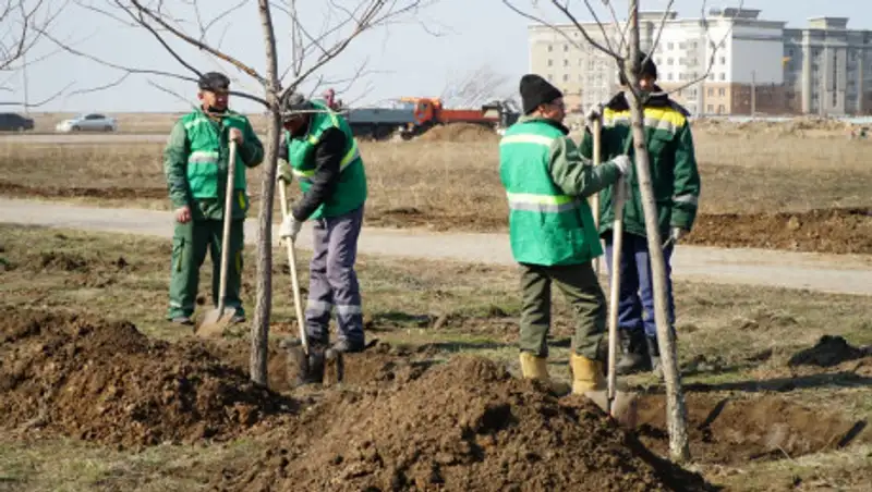 6 млн цветов и 30 тыс. деревьев высадят в Нур-Султане